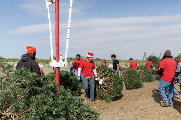 Austin Area Christmas Tree Farms Open For Holiday Visits