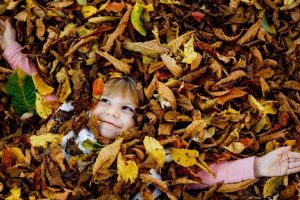 Autumn Air Arrives In Myrtle Beach With Cooler Evenings And Weekend Rain Outlook