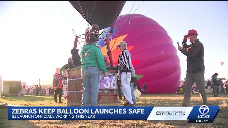 Balloon Fiesta Volunteers Zebras Keep Launches Safe In Albuquerque