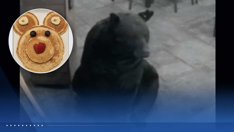 Bear Takes A Seat At Jubilee Restaurant Patio In Pocono Pines