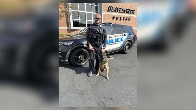 Beavercreek Police K 9 Mickey Receives New Ballistic Vest From Protecting K9 Her