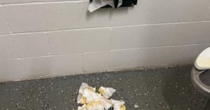 Bellevue Parks Restrooms Closed Early Due To Vandalism