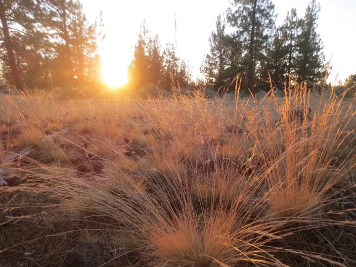 Bend Park Rec Restores Most Programs Monday Aligns With School Re Opening