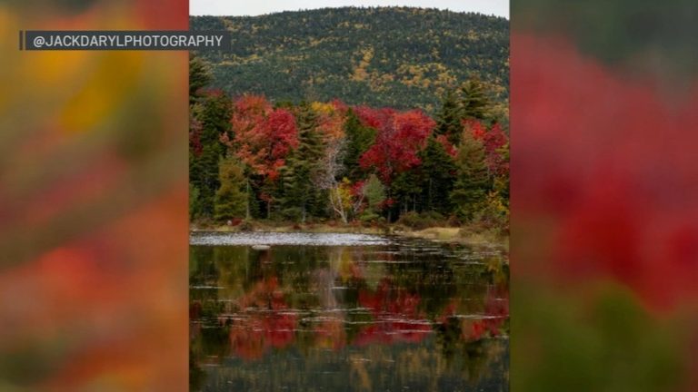 Best Fall Foliage Colors In New England Expected This Weekend Experts Say
