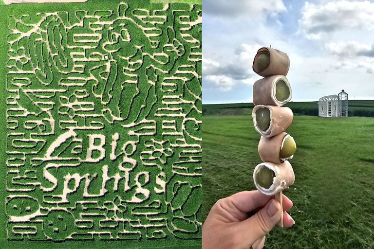 Big Springs Farm Unveils 10 Acre Pickle Themed Corn Maze And Minnesota Sushi Sna