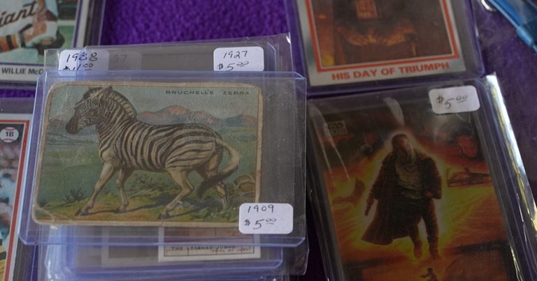 Billings Collector Turns Garage Into Weekend Sports Card Hub For Families