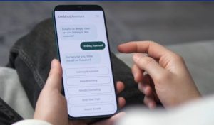 Bismarck Therapists Caution Against Over Reliance On Ai Mental Health Apps
