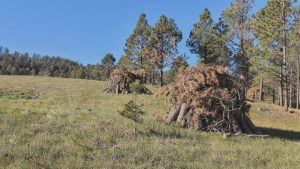 Black Hills Fire Officials Urge Caution On Slash Pile Burns Despite Snow