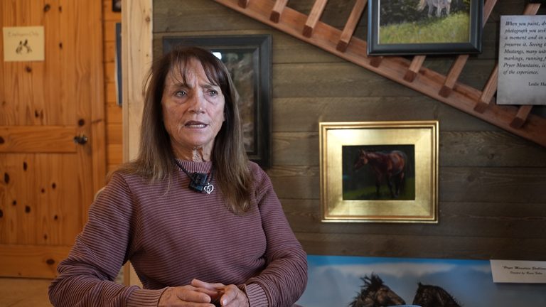 Blm Trims Pryor Mountain Wild Horse Herd Locals Voice Concerns