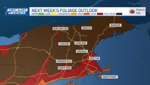 Boston Enjoys Crisp Mornings And Sunny Afternoons As Autumn Settles In