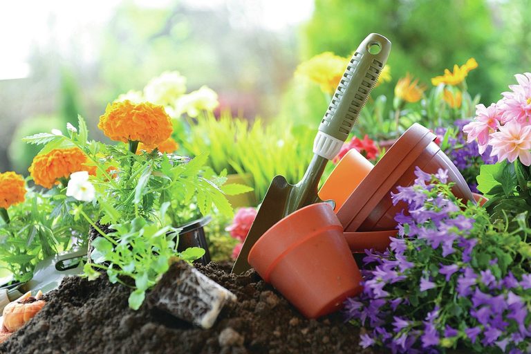 Bowie County Master Gardeners Host Free Southern Heirloom Garden Class In Texark