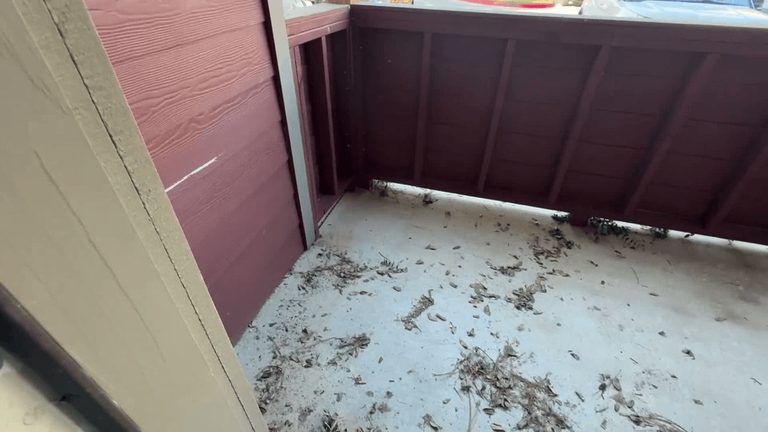 Broken Arrow Senior Raises Concerns Over Pigeon Droppings And Debris At Apartmen