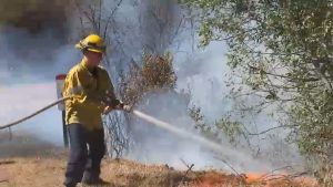 Bryson Fire In Malibu 68 Contained Evacuations Lifted And Power Restored