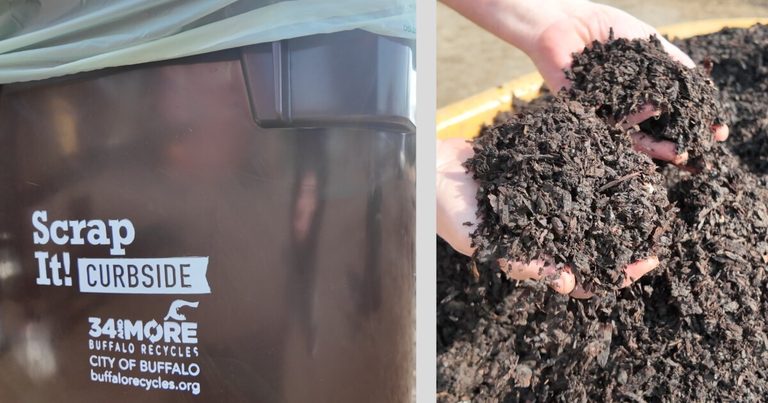 Buffalo Expands Curbside Compost Program To Serve Up To 10 000 Households