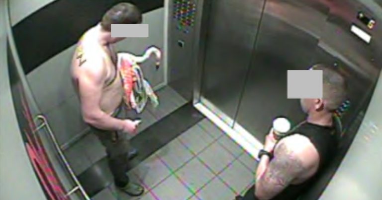 Canadian Tourist Convicted Of Animal Cruelty After Taking Flamingo Hotel Flaming