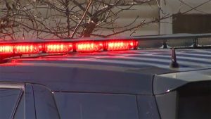 Canton Cyclist Killed After Collision With Car On Ford Road