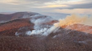 Capital Region Faces High Fire Danger As Dry Weather And Gusty Winds Persist