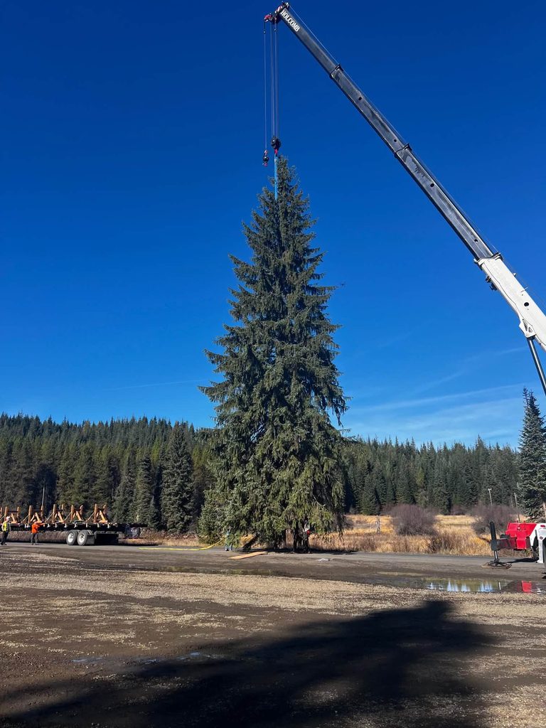 Capitol Christmas Tree Stops In Custer For Family Celebration On Nov 10