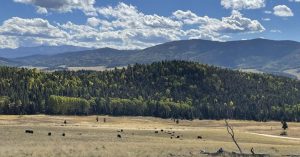 Carson National Forest To Begin Prescribed Burn In Valle Vidal On Oct 17