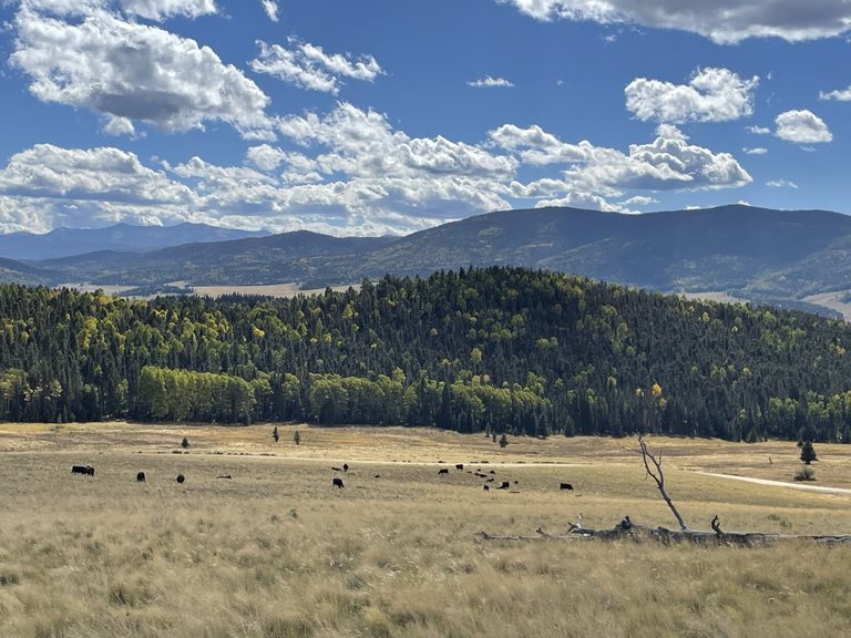 Carson National Forest To Begin Prescribed Burn In Valle Vidal Saturday