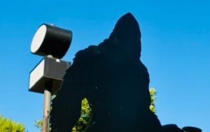 Cascade Idaho Hosts Free Bigfoot Hunt With 2 000 In Halloween Prizes
