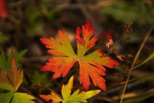 Casper Ties Record High Of 87 F As Warm Week Continues