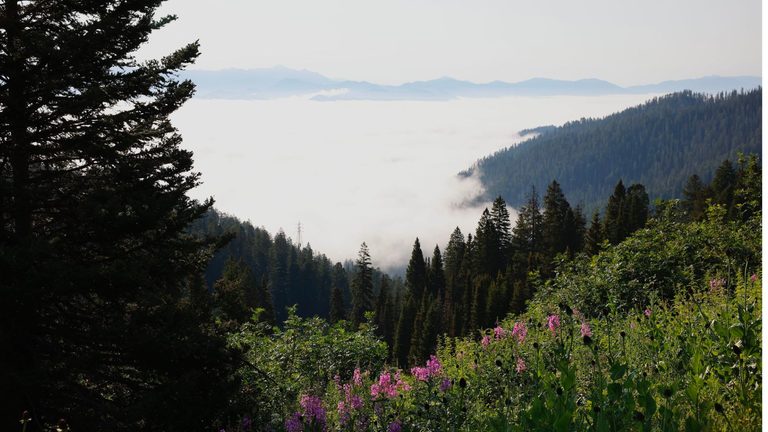 Cate Watsabaugh Seeks Second Term On Teton Conservation District Board