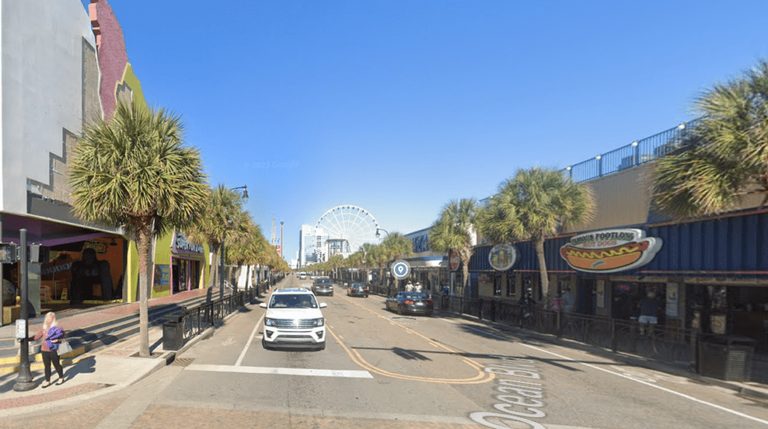 Cats Of The Boardwalk Rescues Four Kittens From Dangerous Myrtle Beach Demolitio