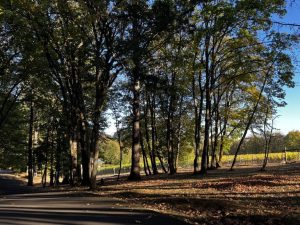 Chemeketa Community College Launches Wine Studies Program At Local Teaching Wine