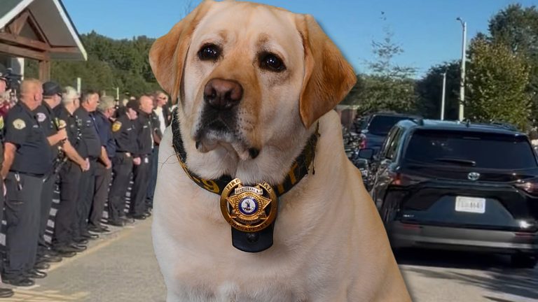 Chesapeake Honors First Fire K9 Cinco With Heartfelt Farewell