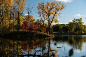 Chicago Enjoys Record Warm Sunny October Before Cooler Spell Returns