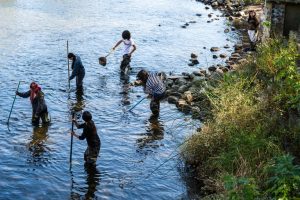 Chicago River Classroom Program Celebrates 30 Years Of Student Hands On Learning