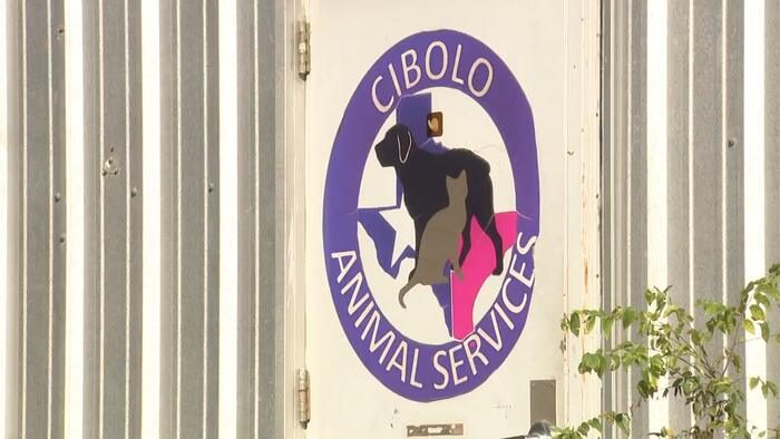 Cibolo Animal Services Holds Free Adoption Event With Pok Mon Theme