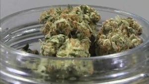 Cincinnati City Council Moves To Earmark Cannabis Tax Dollars For Housing And Yo