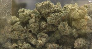 Cincinnati City Council Sets Plan To Direct Marijuana Tax Revenue To Home Repair