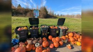 Clark County Urges Residents To Compost Pumpkins For Healthier Gardens And Clean