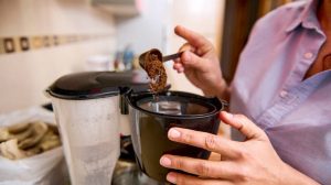 Coffee Maker Cleaning Tips Expert Says Mold Risk Is Low And Offers Five Simple S