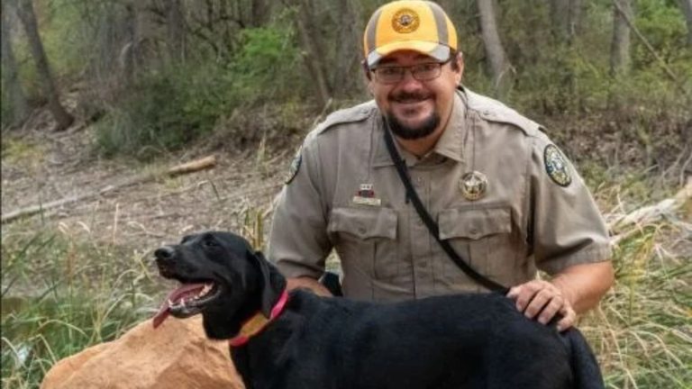 Colorado Parks Wildlife K9 Sage Receives New Protective Vest In Honor Of Retired