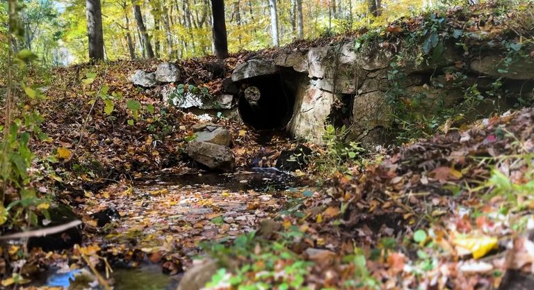 Connecticut Assesses 700 Culverts To Improve Flood Safety And Wildlife Passage