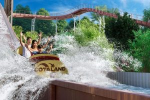 Cota Partners With Carlyle To Fund Water Park And On Site Resort Expansion