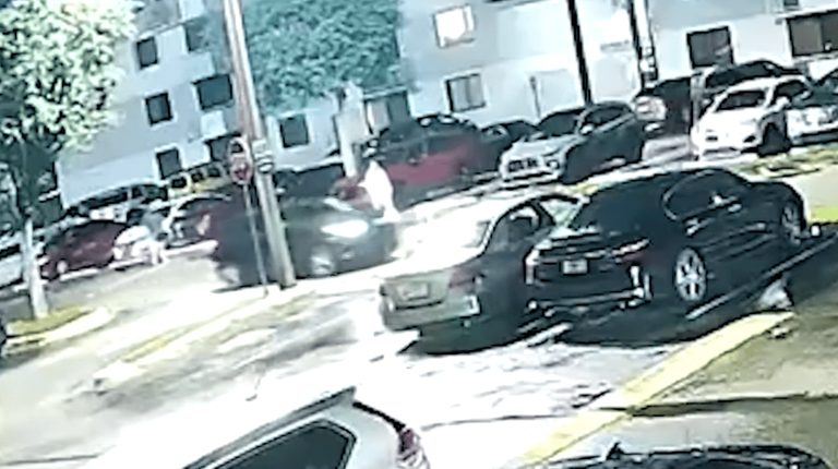 Couple Watches Thieves Steal Their Honda Hr V On Miami Street