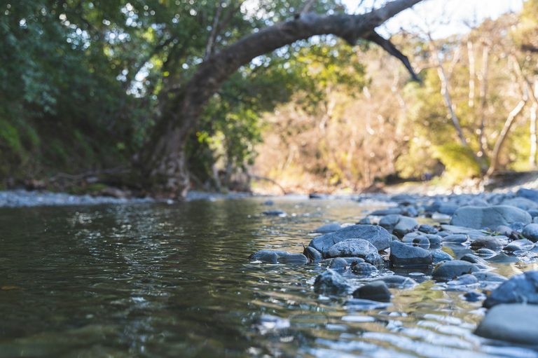 Creek Vs Crick How Regional Dialects Shape Everyday Speech