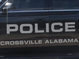 Crossville Mayor Fires Officer Harrelson After Video Of Motorcyclist Confrontati