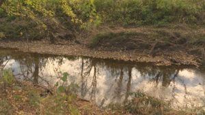 Davenport To Reshape Goose Creek Banks Add Trails And Educational Signage