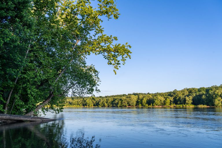 Dc Water Confirms Potomac River Has Returned To Normal After January Sewage Spil