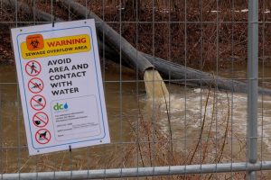 Dc Water Reports Potomac River Back To Normal After Nine Month Sewage Spill Clea