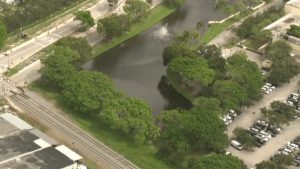 Dead Ducks Found At Pompano Beach Pond Prompt Bso Investigation