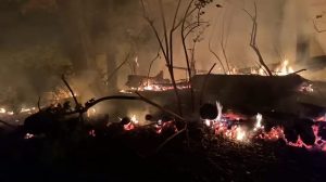 Delhi Township Firefighters Extinguish Overnight Brush Fire On Palisades Drive
