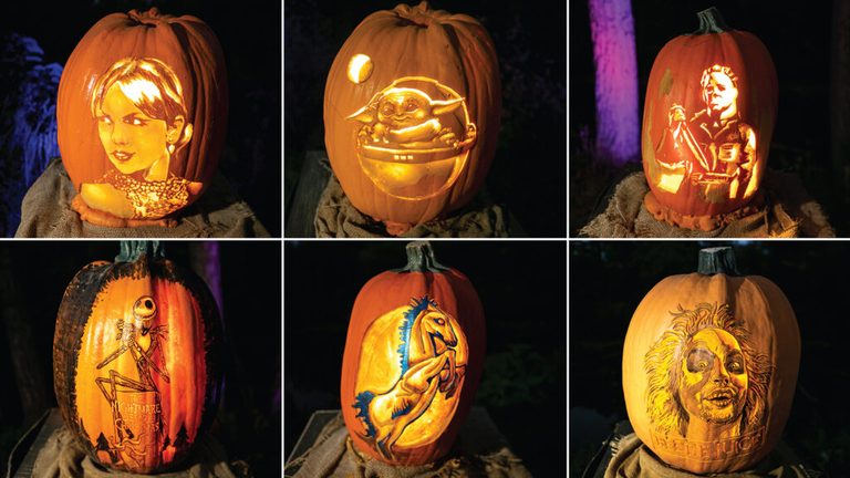 Denver Metro Halloween And D A De Los Muertos Events Guide October November 2026