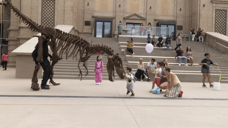 Denver Museum Unveils First Adult T Rex Trackway For Public Viewing